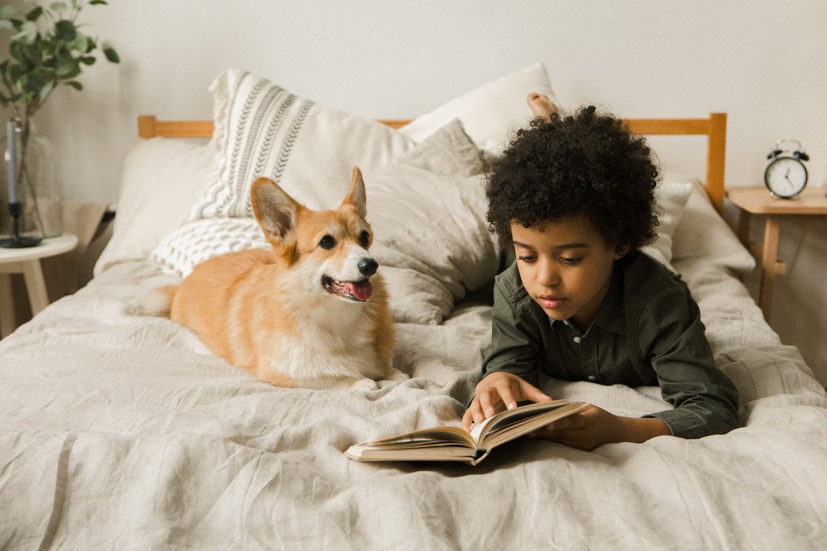 Child reading book on bed with corgi